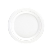 Disposable Tableware - Other