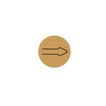 Arrow Direction Symbol - Gold