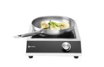 Induction Cooker 3000W- Manual